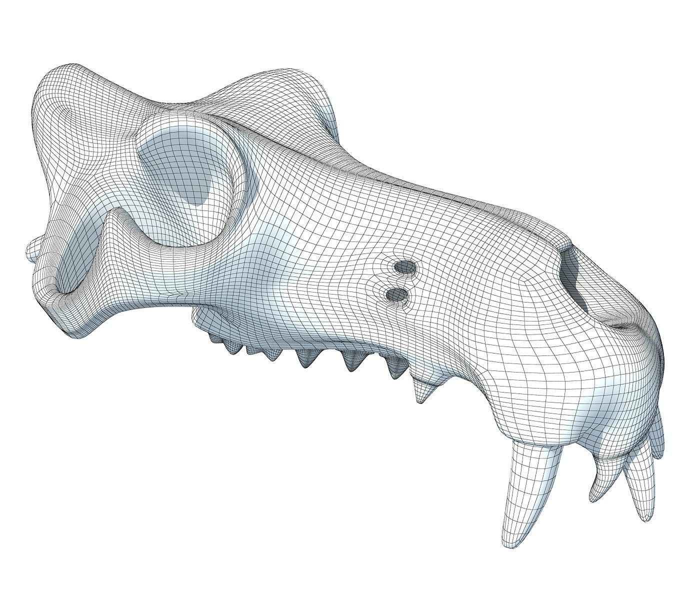 3D Skull of Hippo 3D model_7