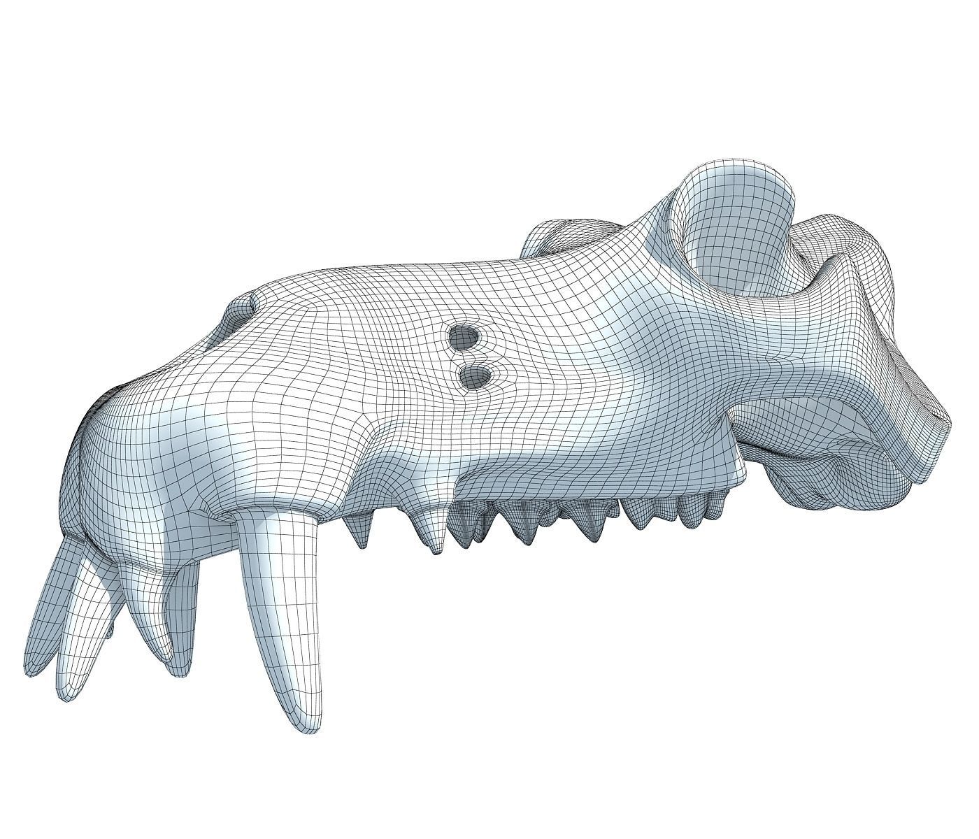 3D Skull of Hippo 3D model_6