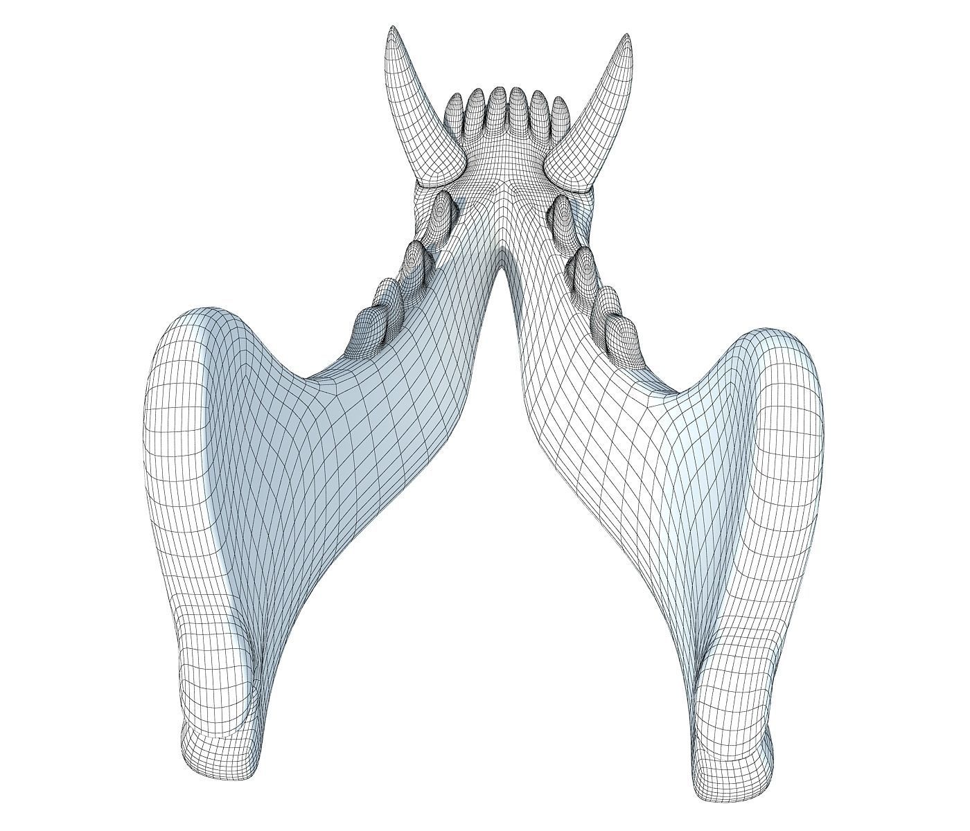3D Animal Lower Jaw Mandible 3D model_7