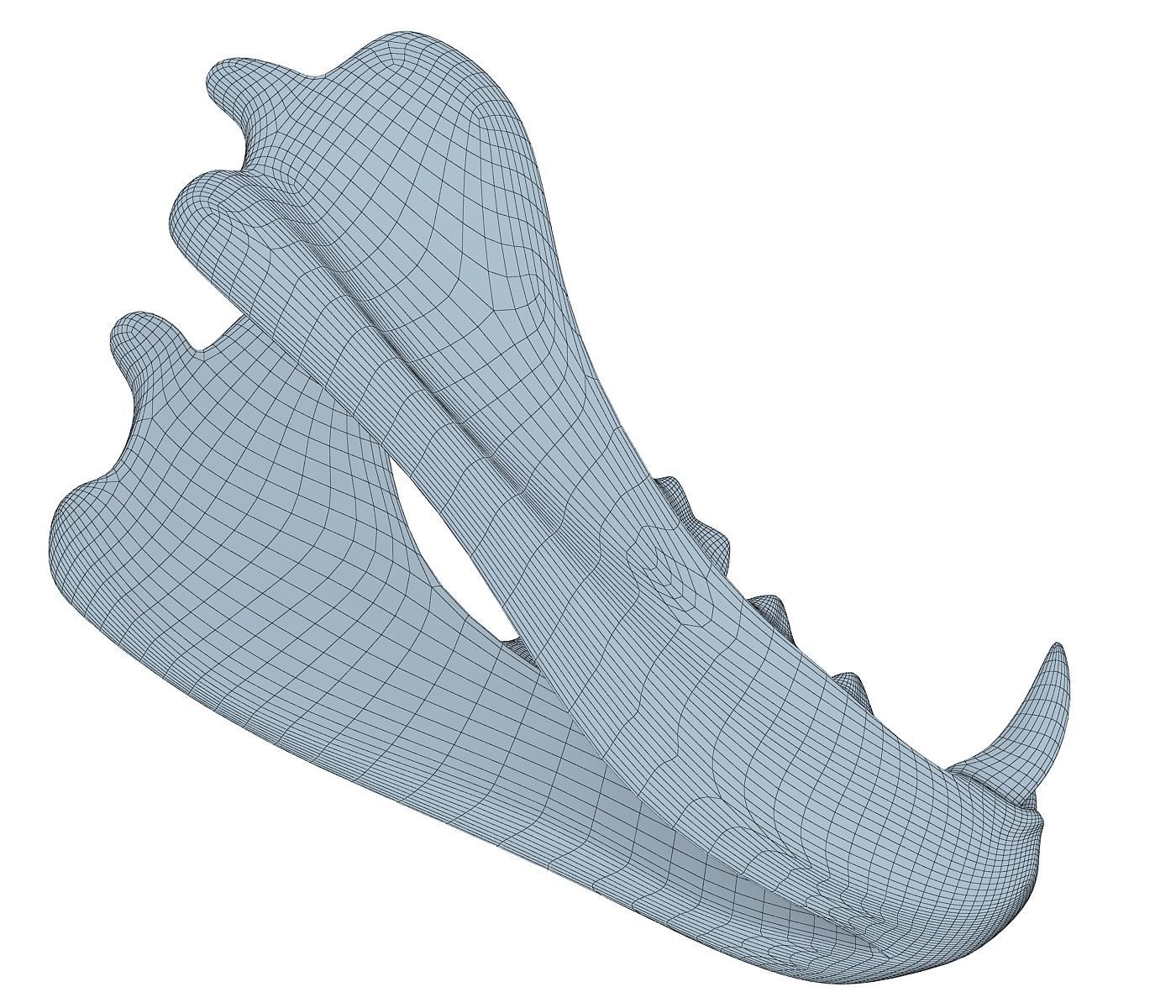 3D Animal Lower Jaw Mandible 3D model_6