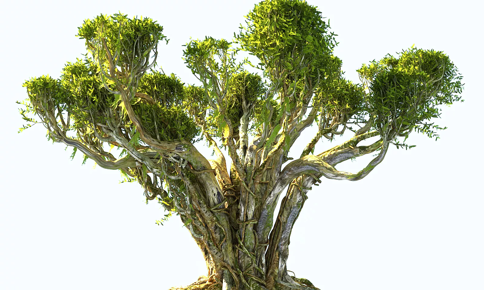 Japanese Tree Animated Low-poly 3D model