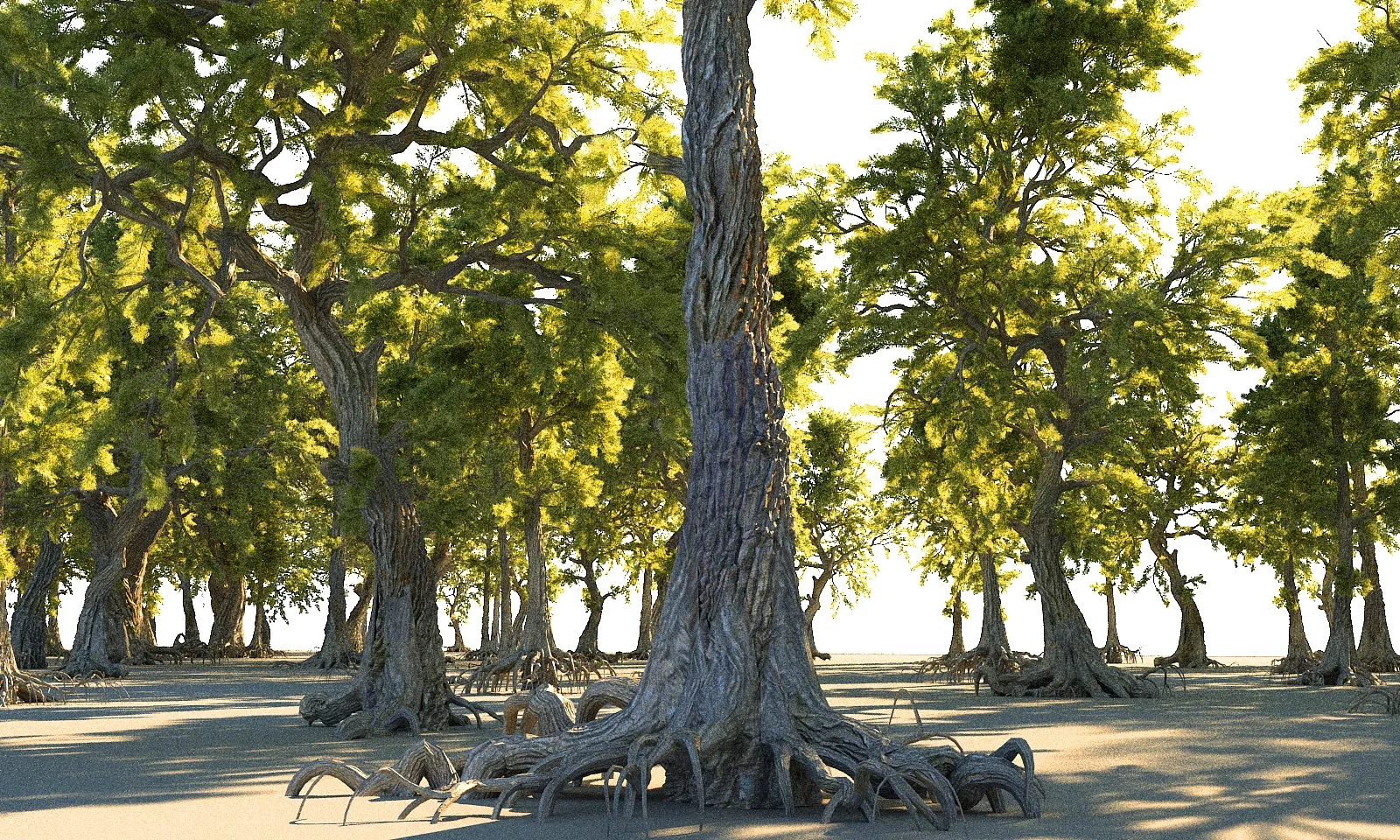Pine Forest Animated Low-poly 3D model