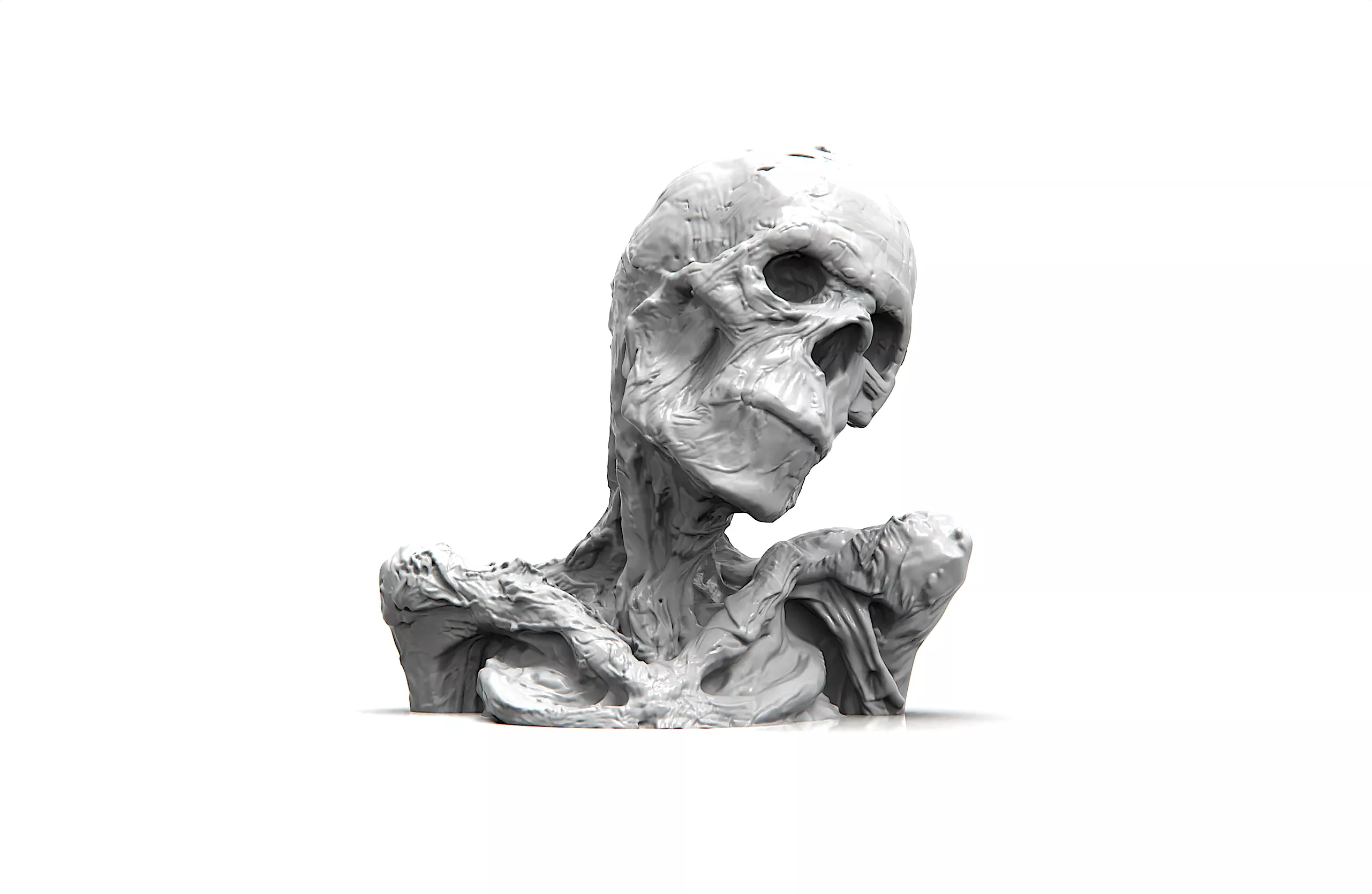 Mummy Torso Bust 3D print model