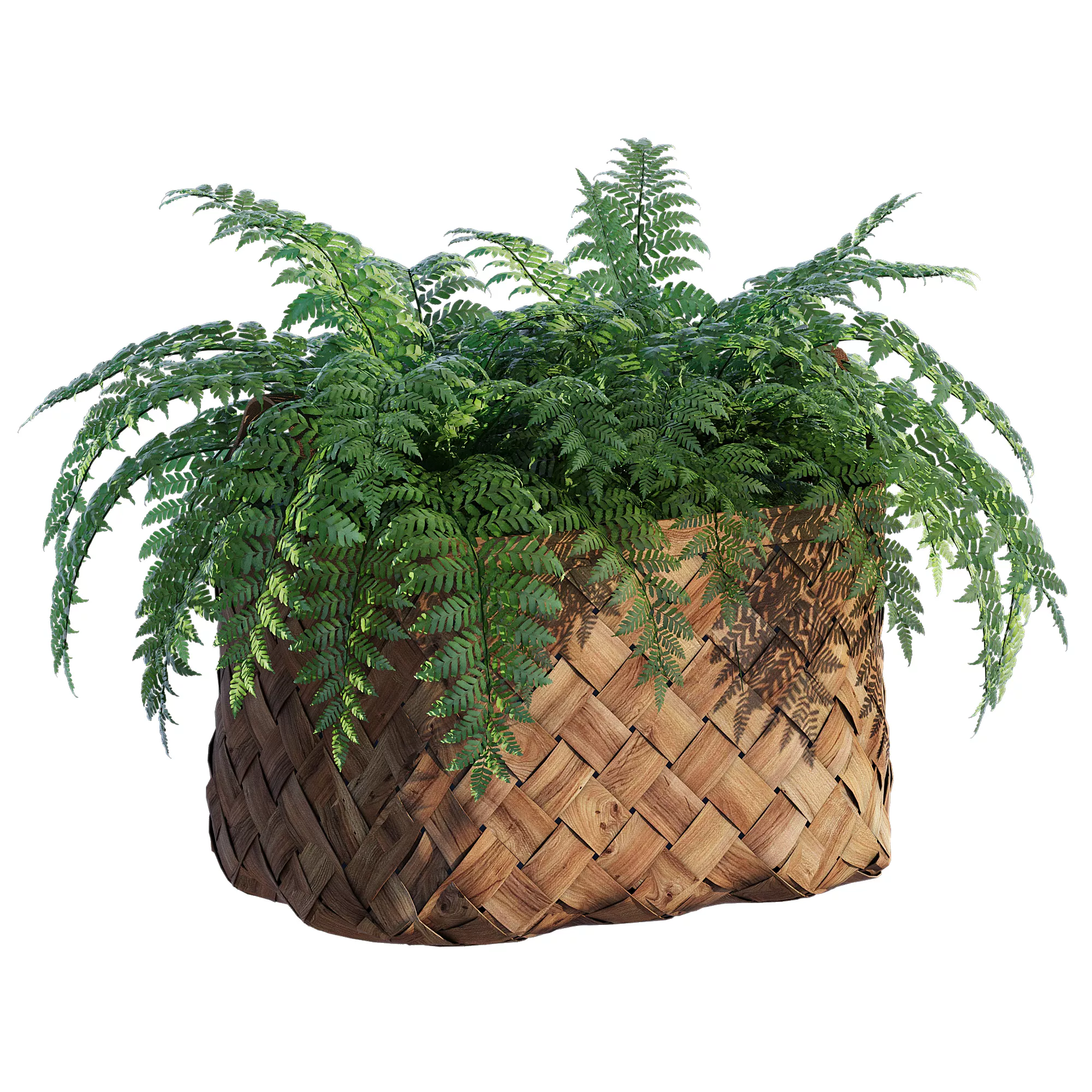 Fern basket 3D model