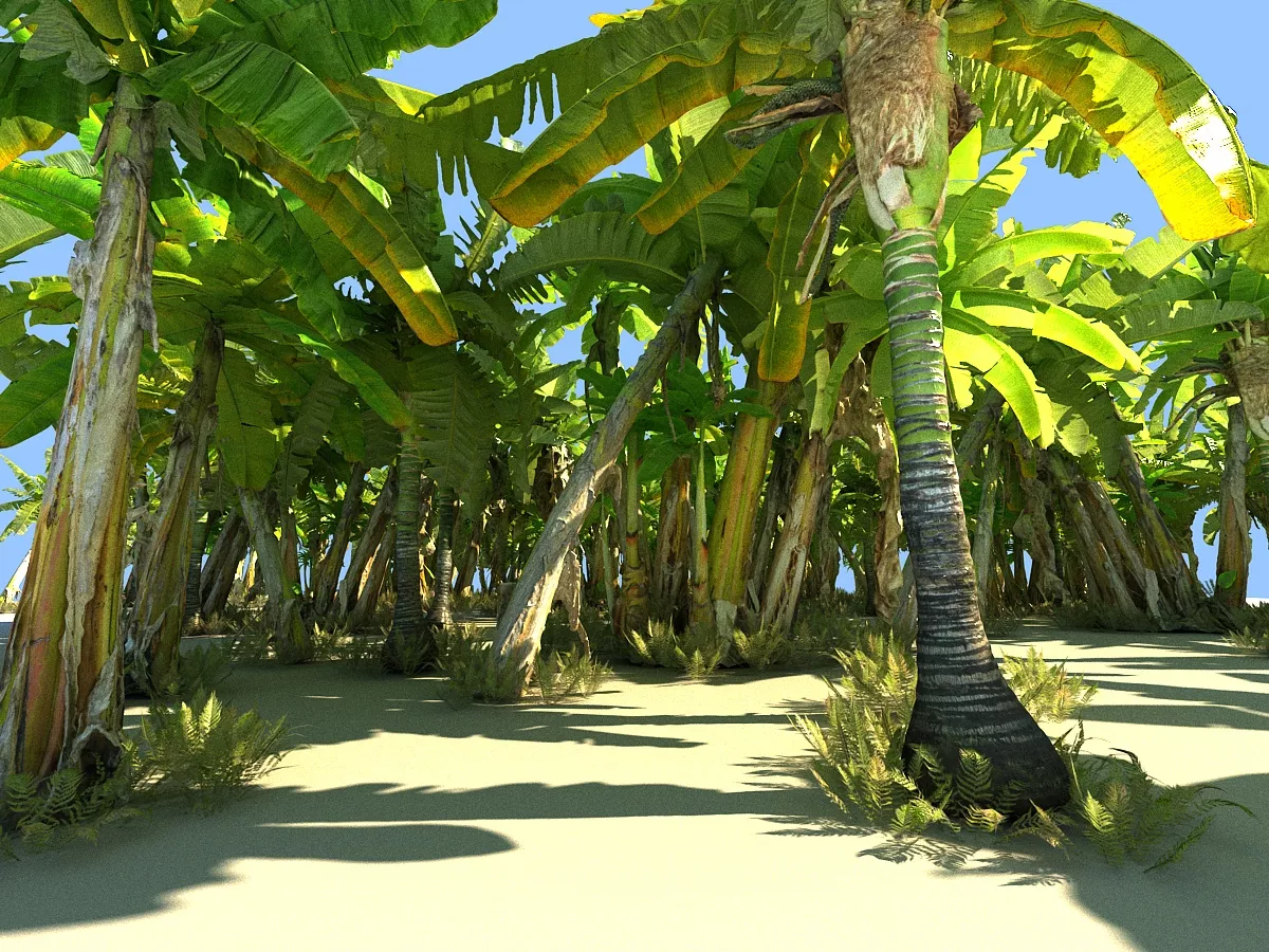 Real Palm HD Pack 16 Low-poly 3D model