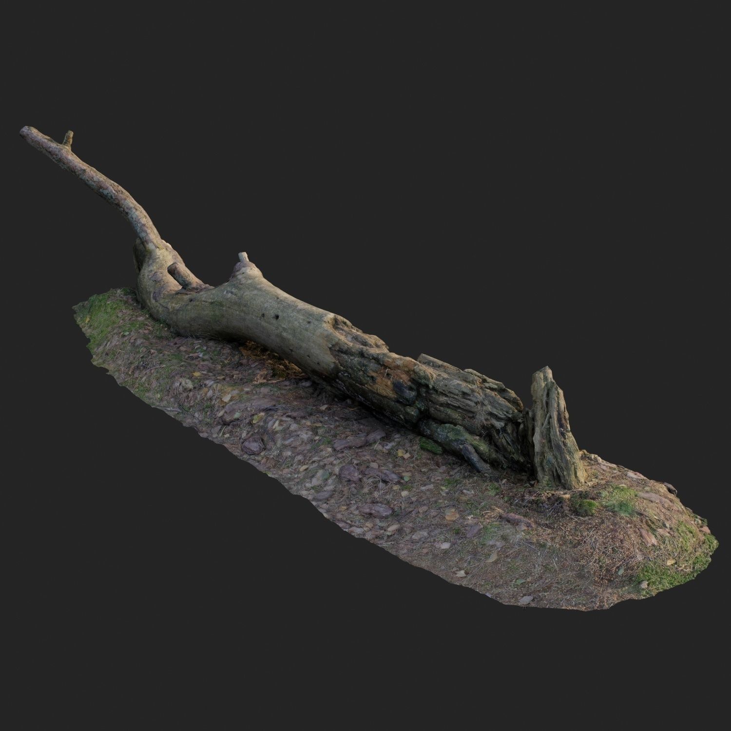 3d scanned nature forest roots 007 3D model_3