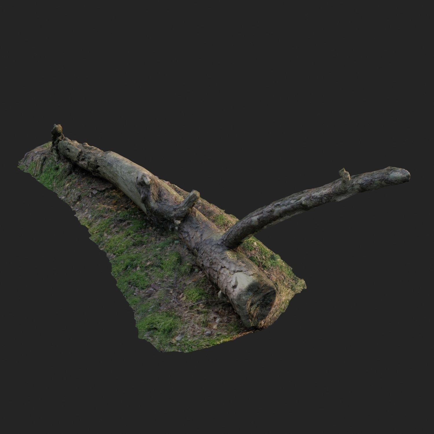 3d scanned nature forest roots 007 3D model_1