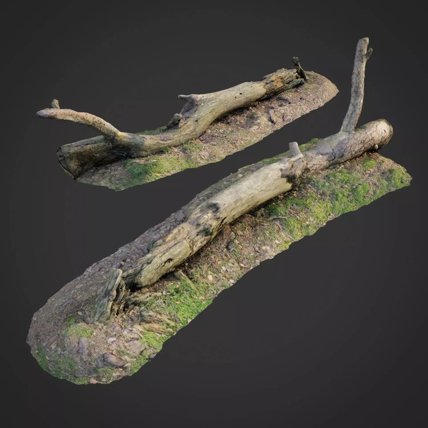 3d scanned nature forest roots 007 3D model_0