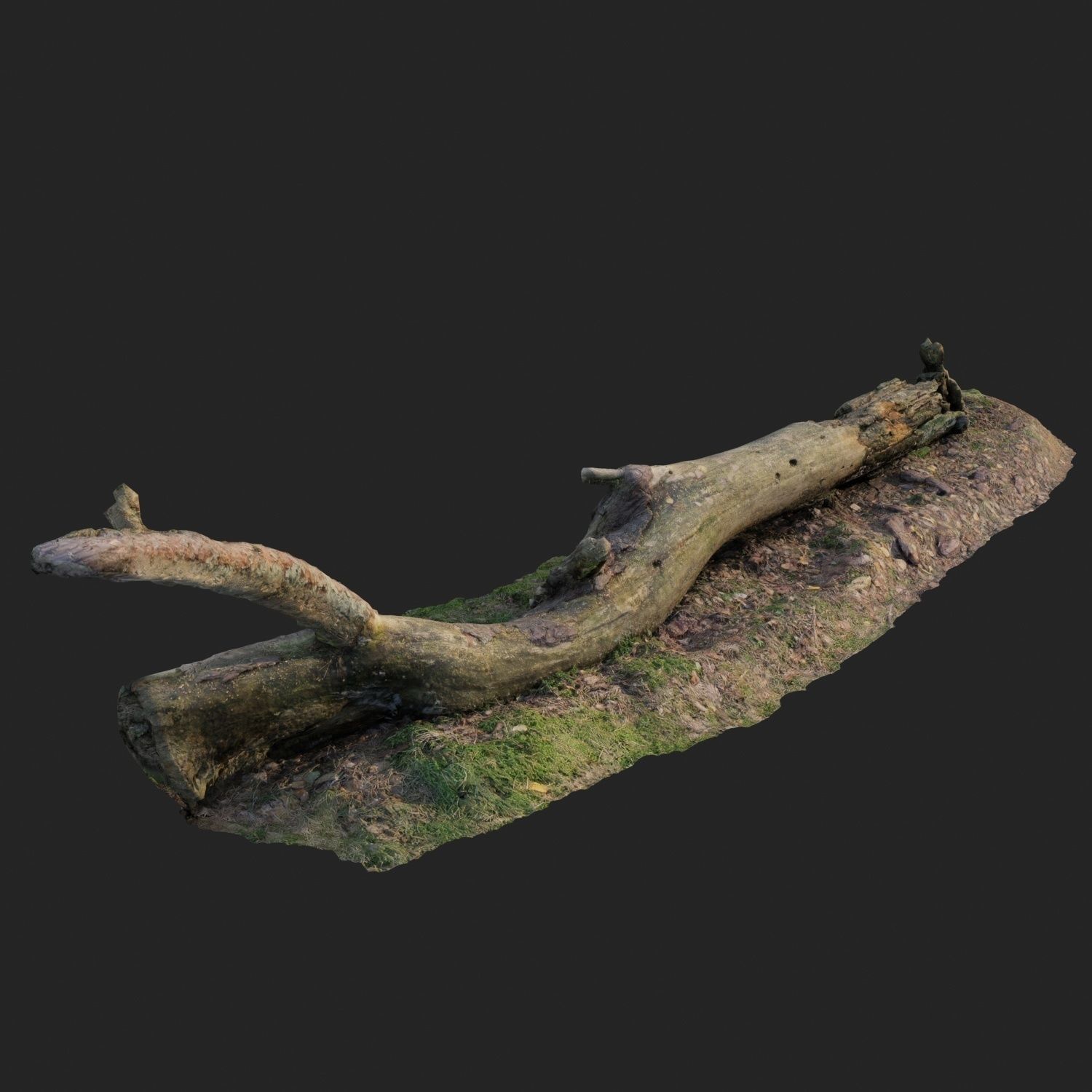 3d scanned nature forest roots 007 3D model_2