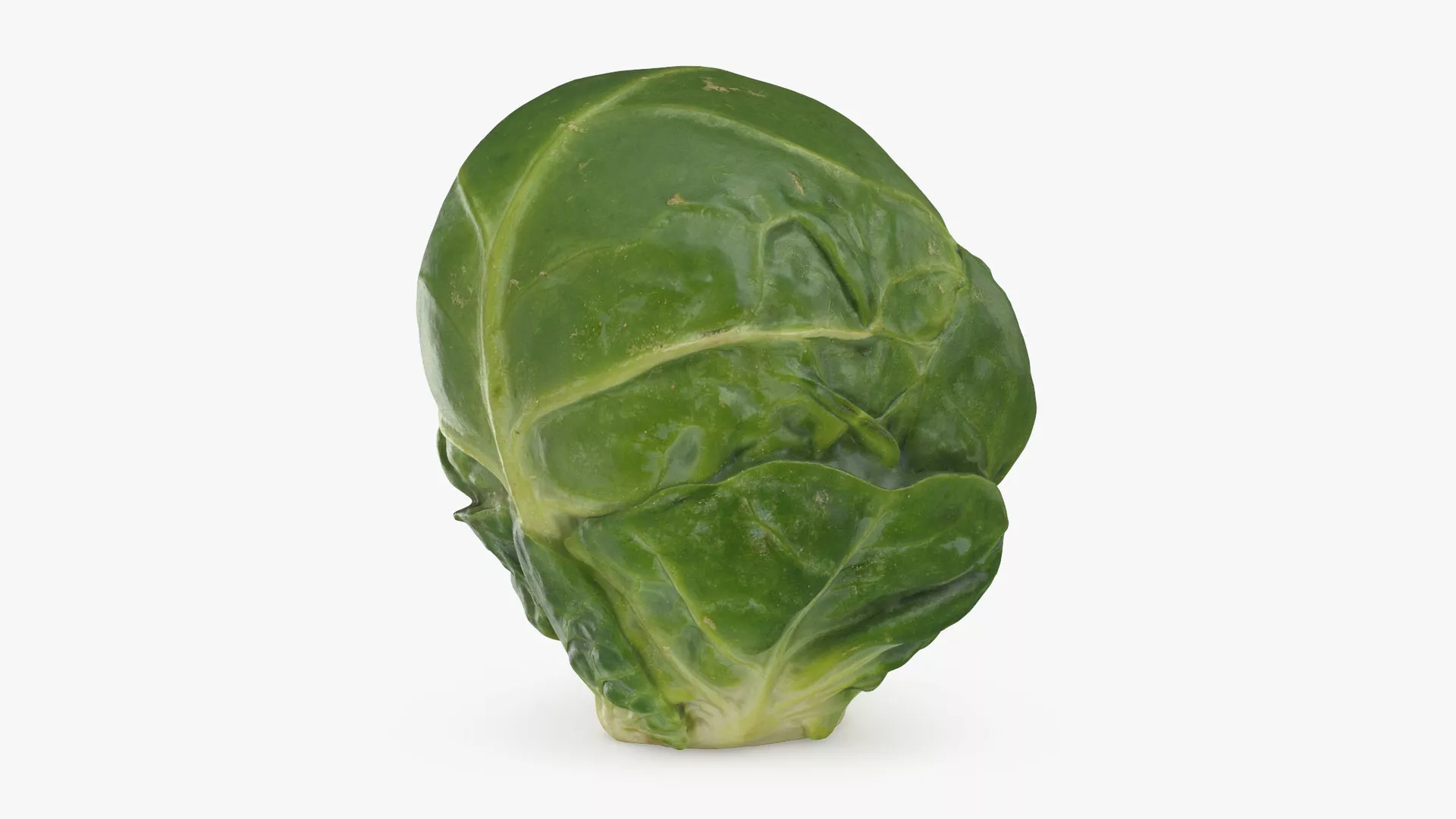 Brussels Sprout 01 Low-poly 3D model