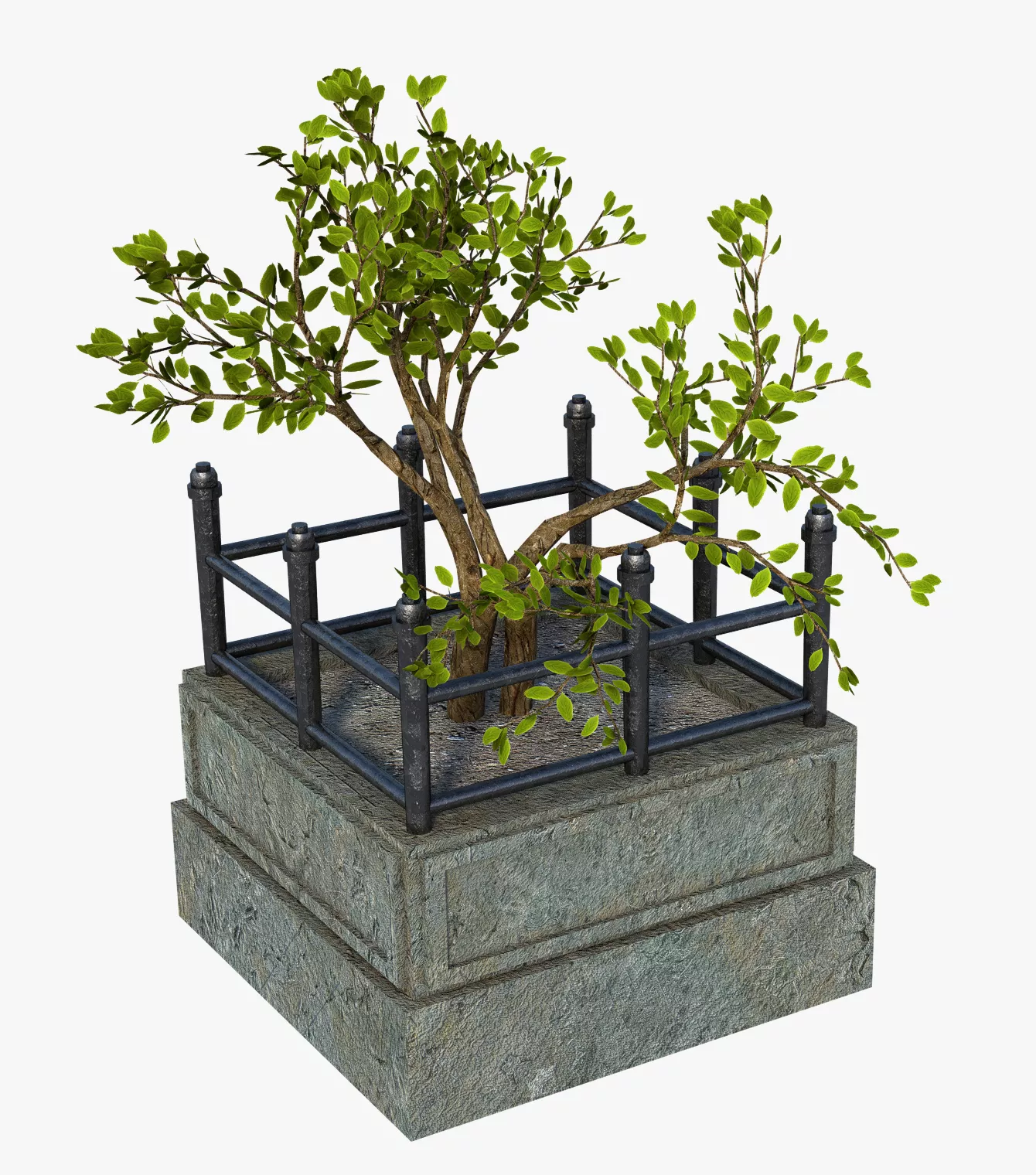 Free Street Plant Free 3D model