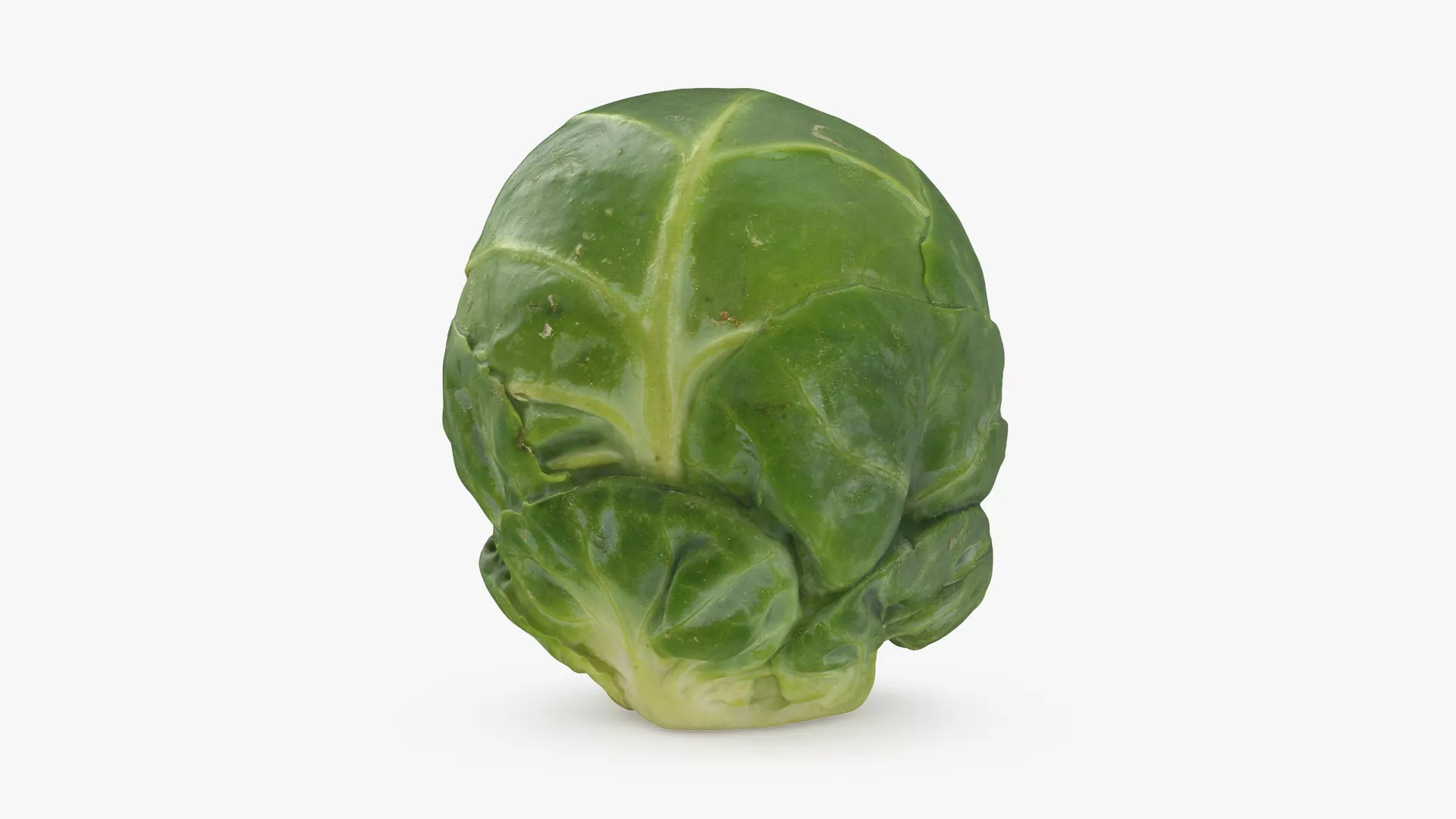 Brussels Sprout 06 Low-poly 3D model