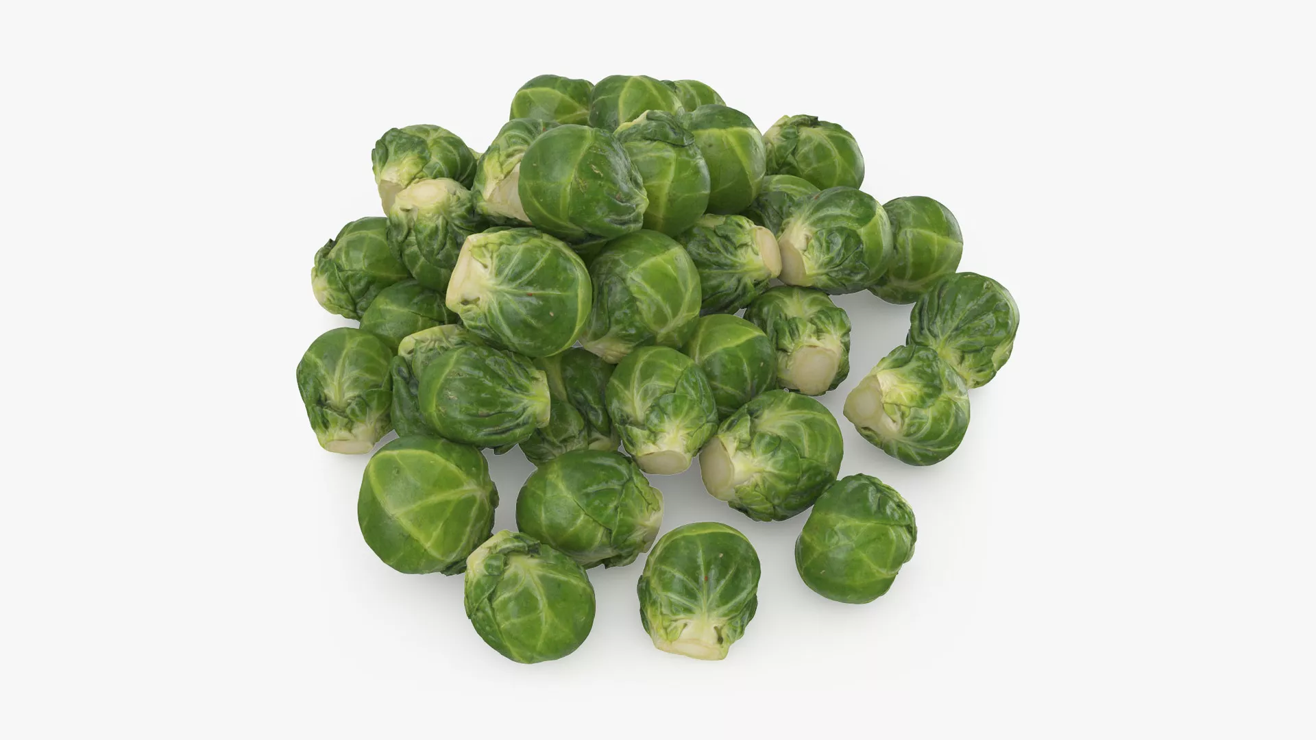 Brussels Sprouts 3D model