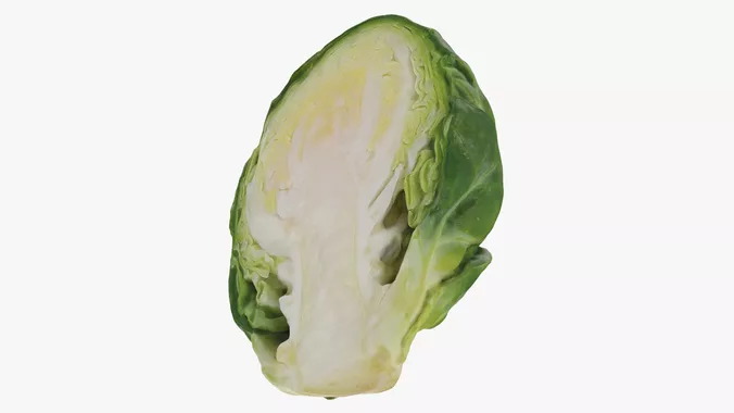 Brussels Sprout Half 01