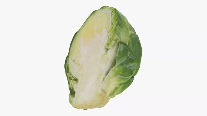 Brussels Sprout Half 02