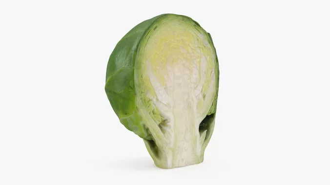 Brussels Sprout Half 03