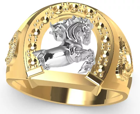 ANILLO DE HOMBRE DE HERRADURA Y CABALLO 3D print model