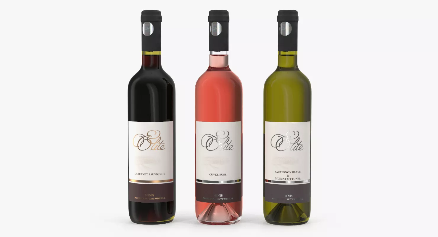Three Wine Bottles 3D model