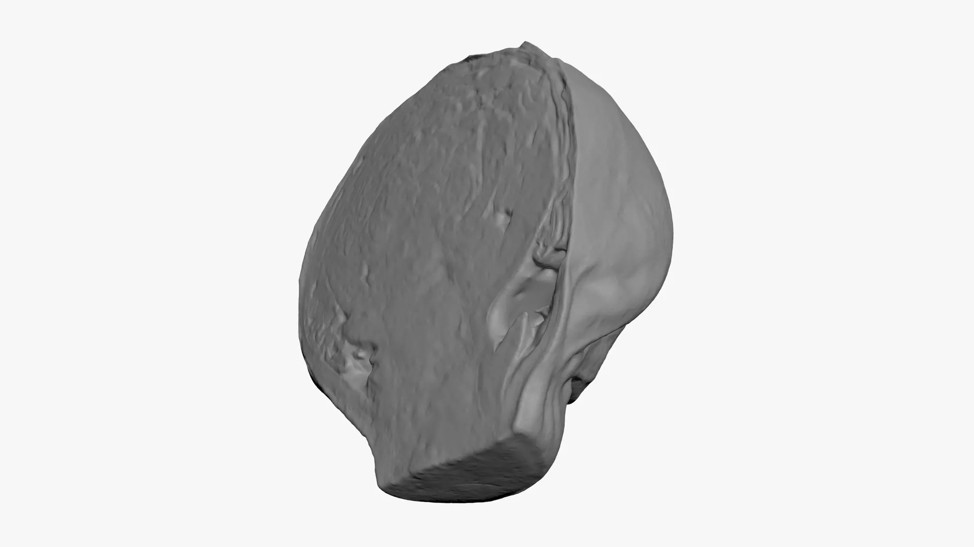 Brussels Sprout Half 03 - For 3D Print 3D print model