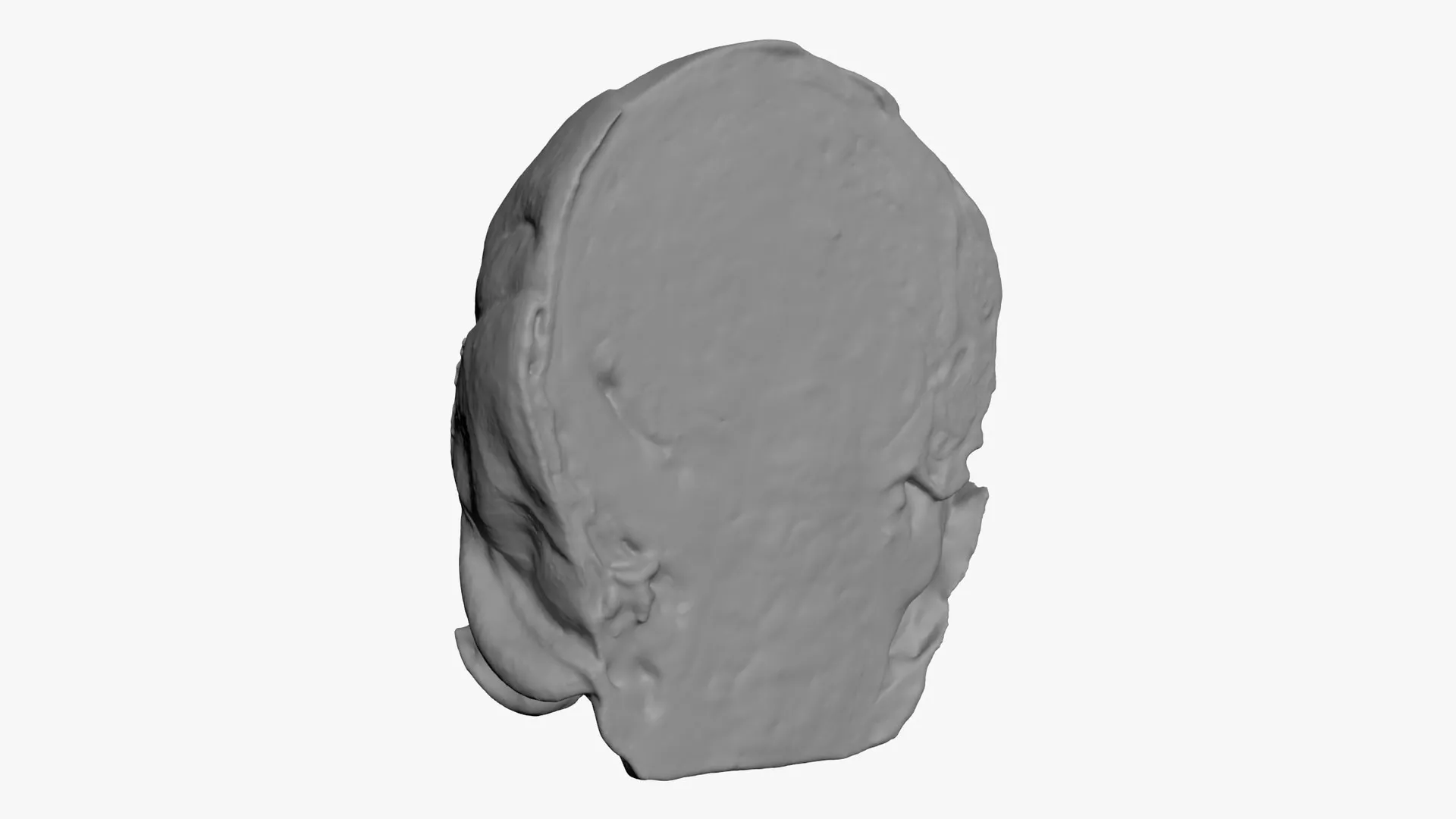 Brussels Sprout Half 02 - For 3D Print 3D print model