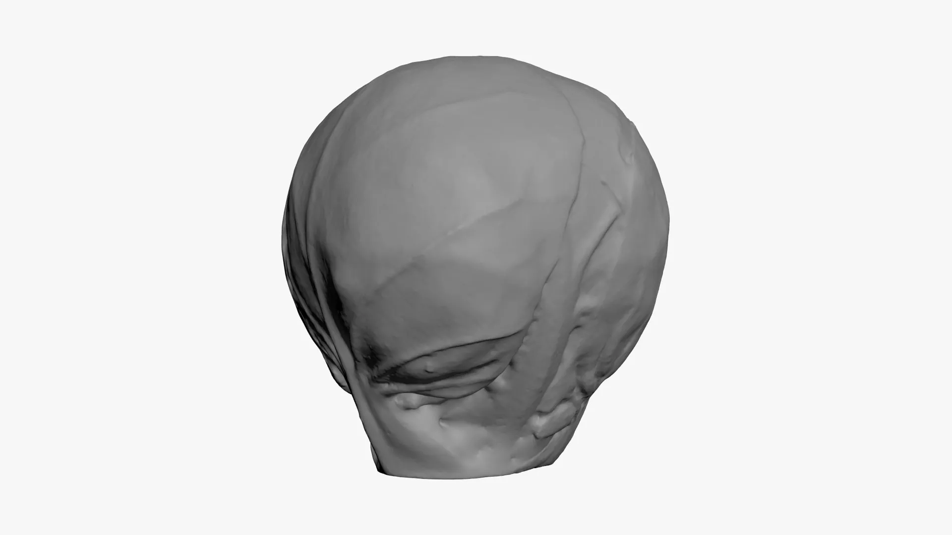 Brussels Sprout 03 - For 3D Print 3D print model