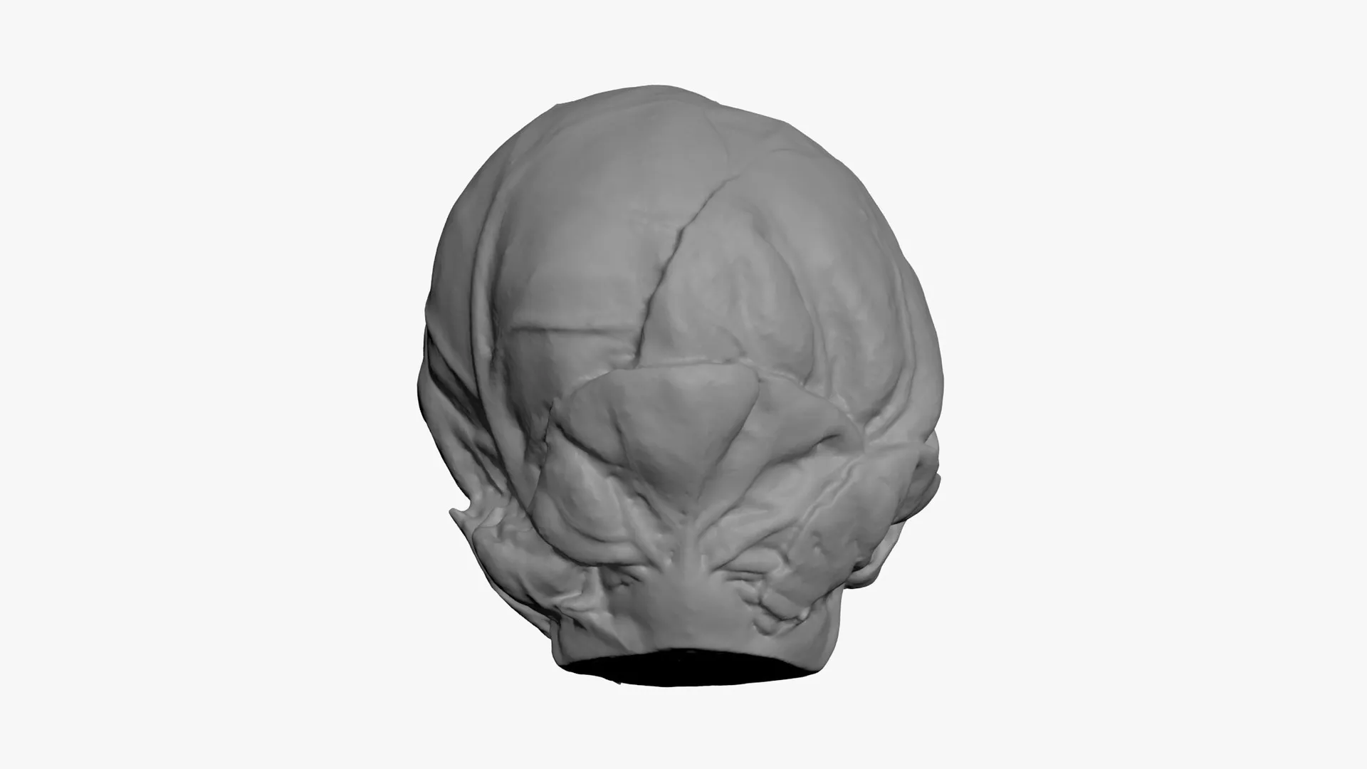 Brussels Sprout 04 - For 3D Print 3D print model
