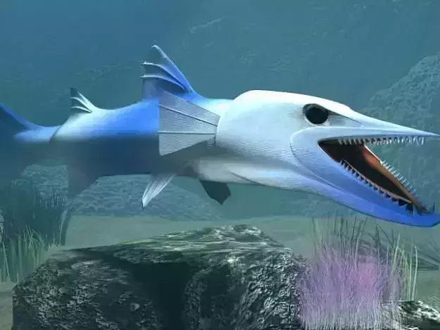 Killer Barracuda Low-poly 3D model
