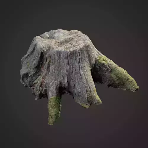 3d scanned nature tree stump 004