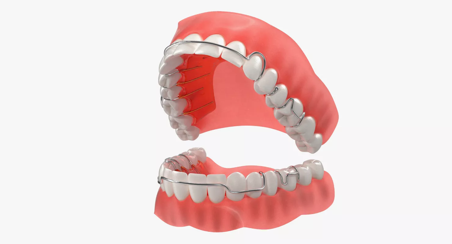 Typodont Tooth Orthodontic Retainer 3D model