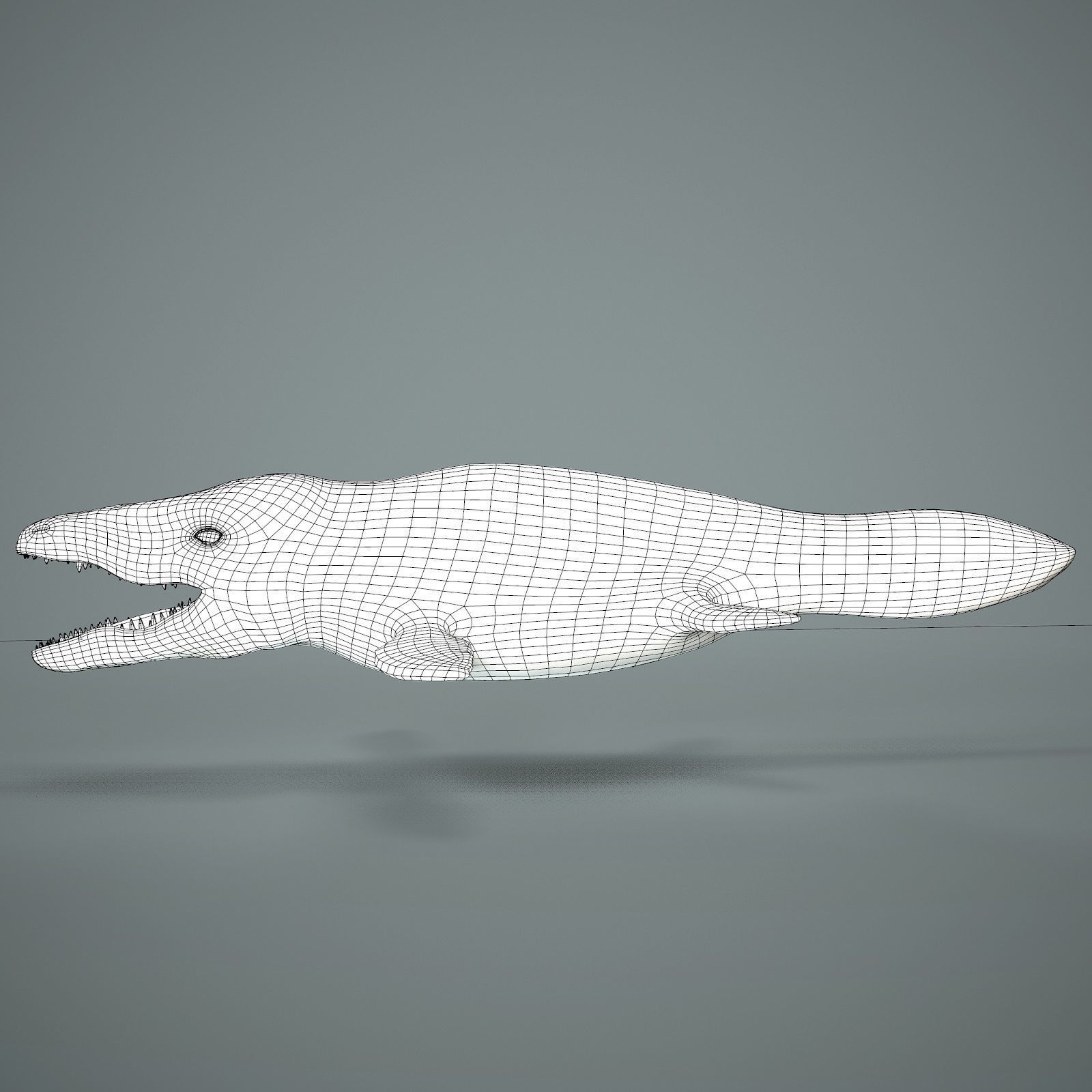 Mosasaurus Low-poly 3D model_22