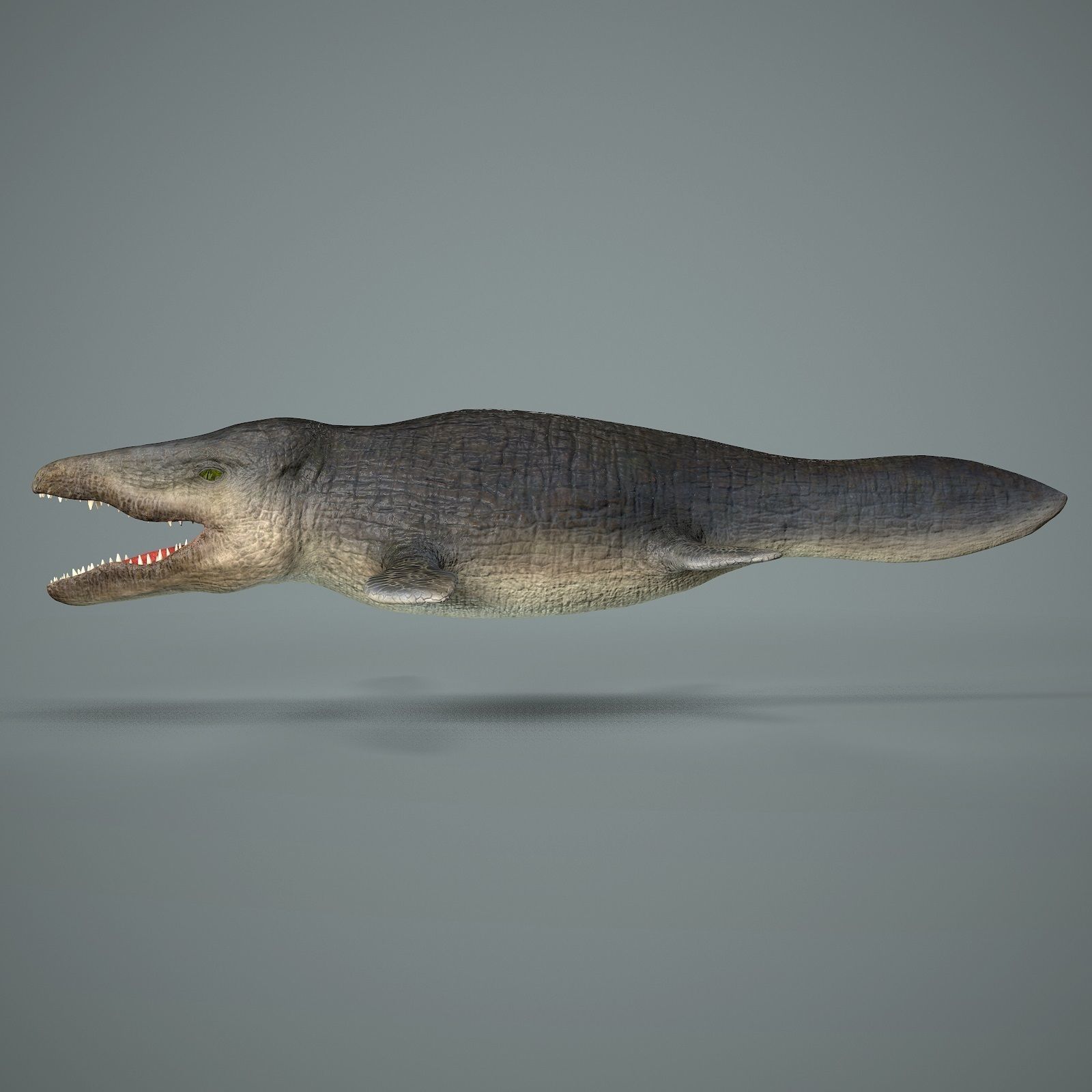 Mosasaurus Low-poly 3D model_4