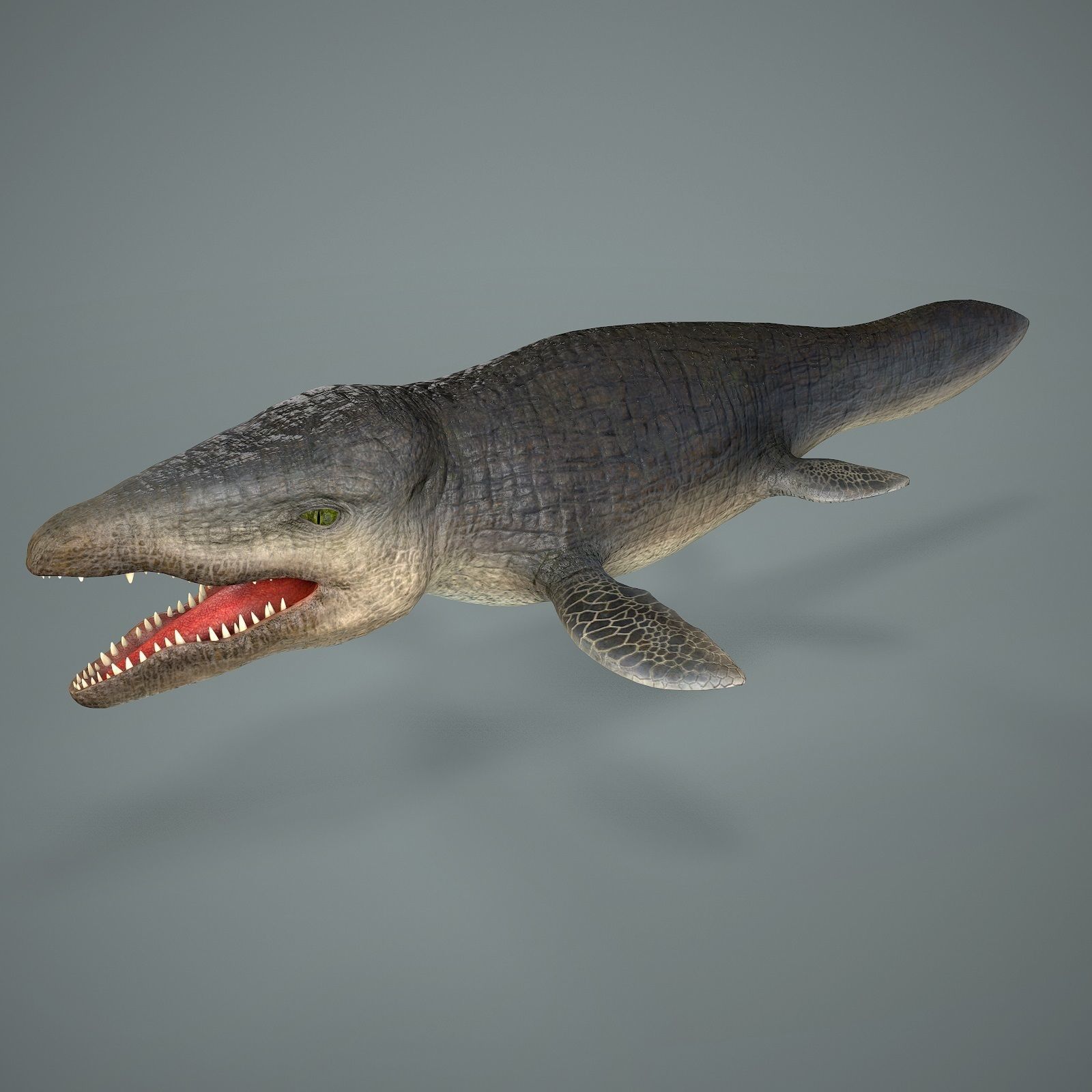 Mosasaurus Low-poly 3D model_2