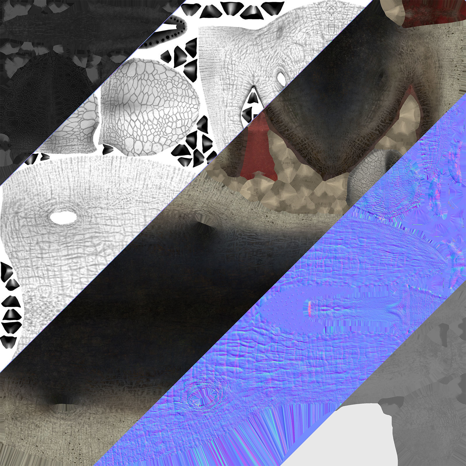 Mosasaurus Low-poly 3D model_29