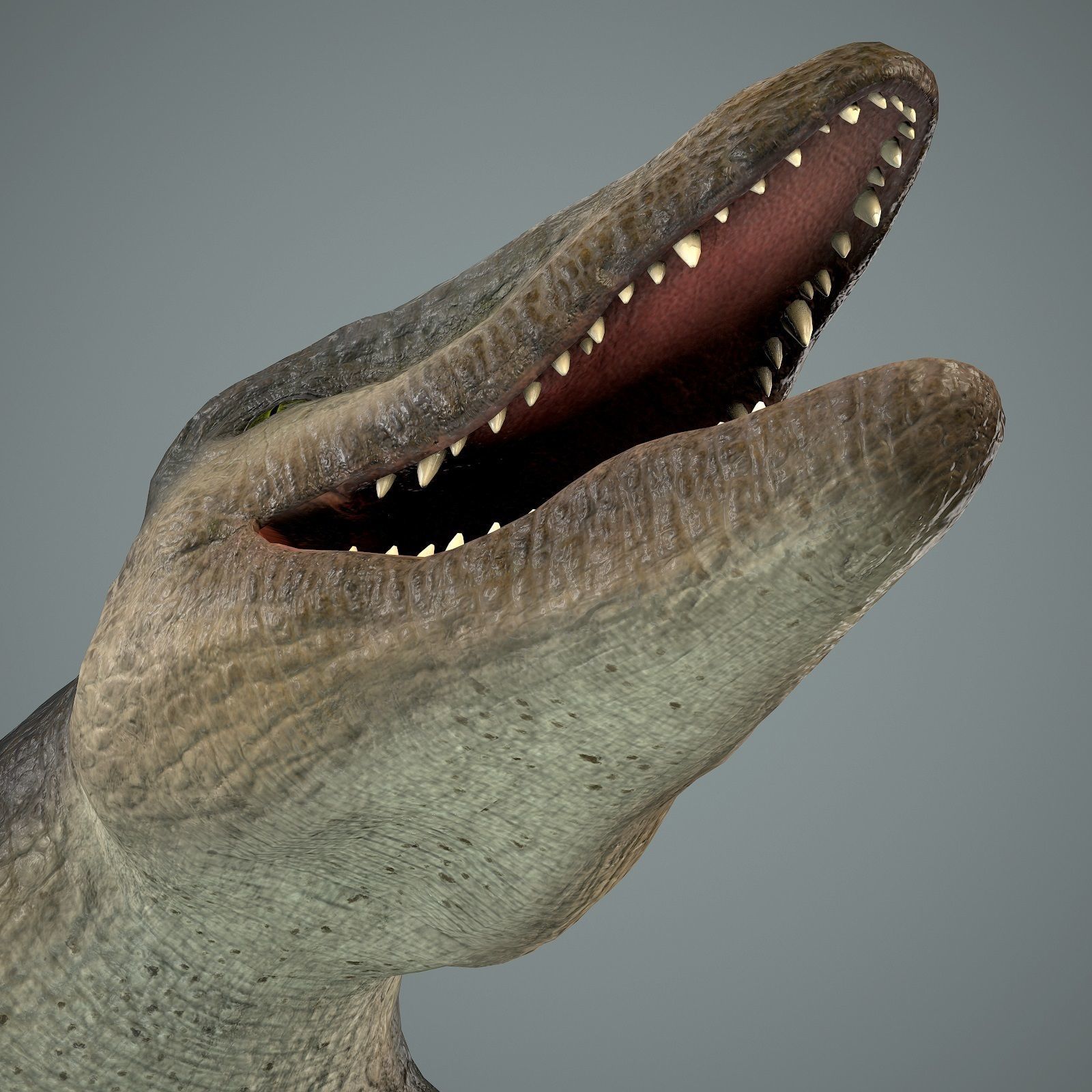 Mosasaurus Low-poly 3D model_18