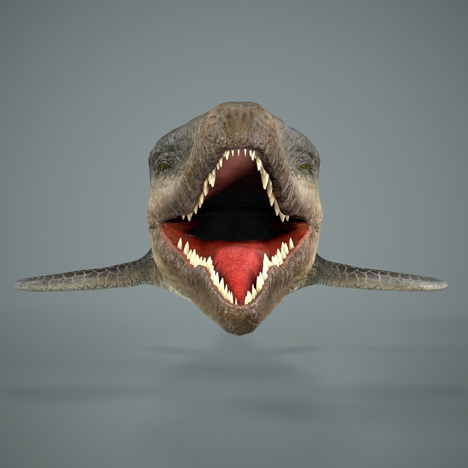 Mosasaurus Low-poly 3D model_5