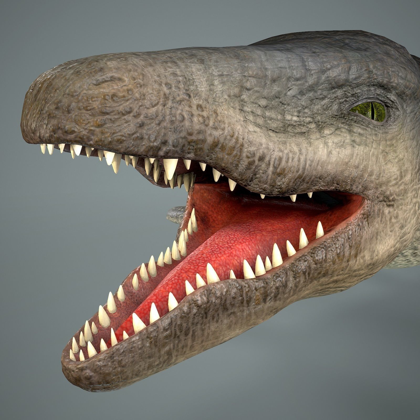Mosasaurus Low-poly 3D model_15