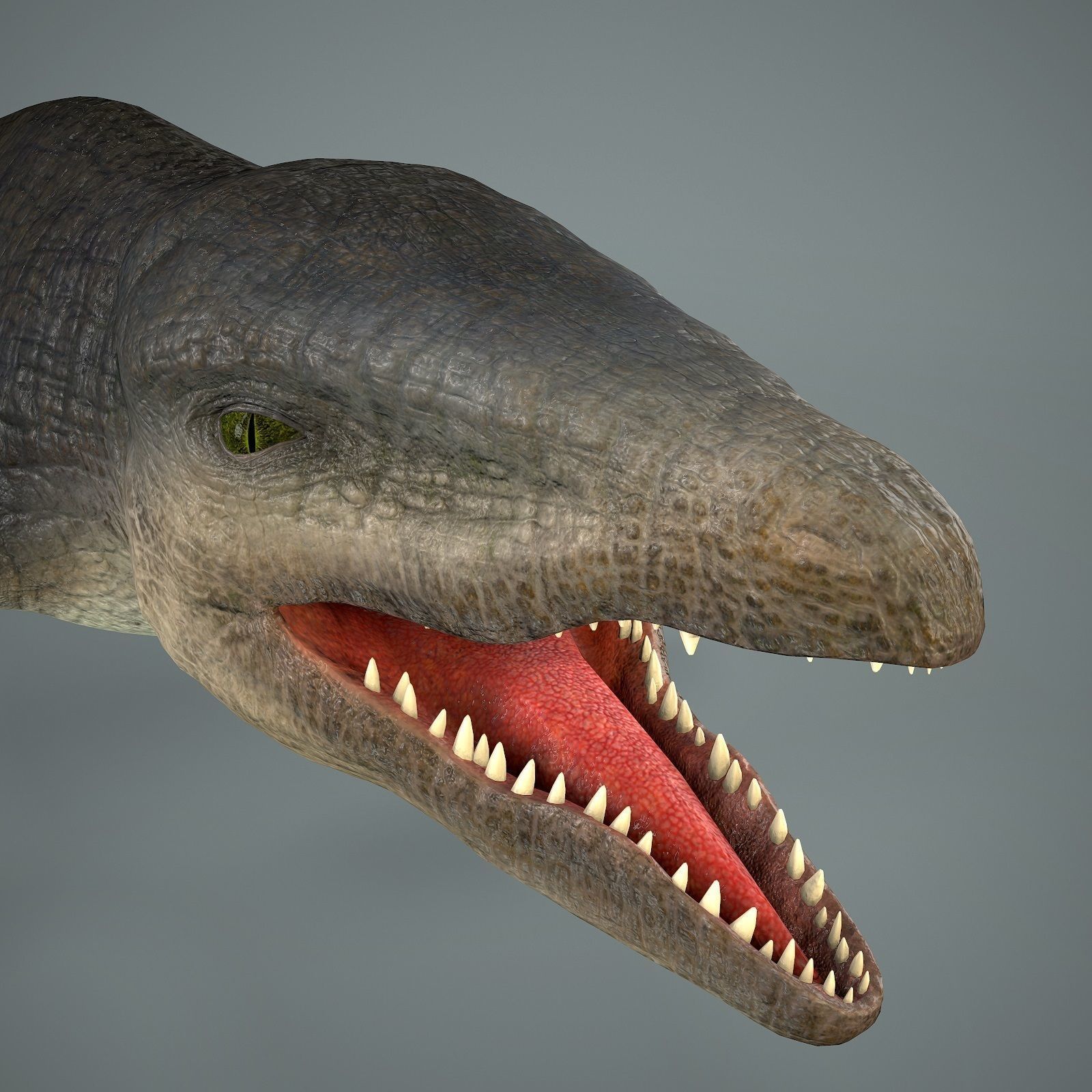 Mosasaurus Low-poly 3D model_12