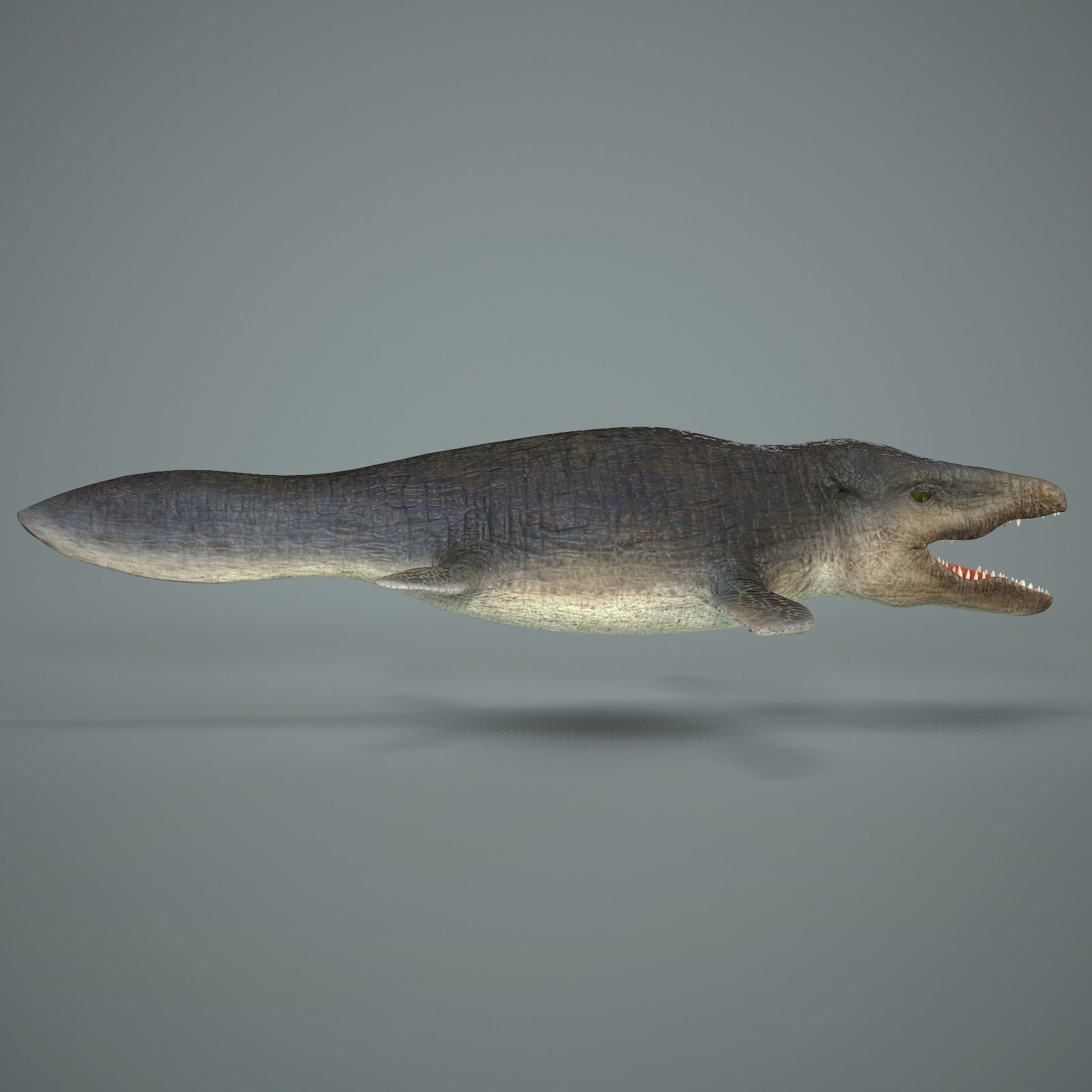 Mosasaurus Low-poly 3D model_6