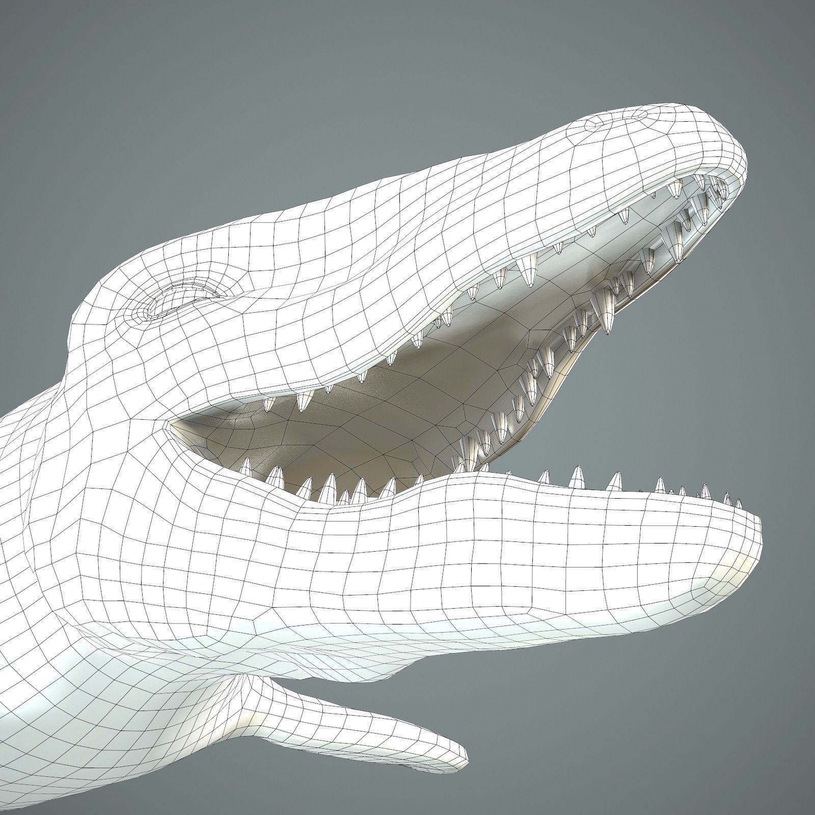 Mosasaurus Low-poly 3D model_27