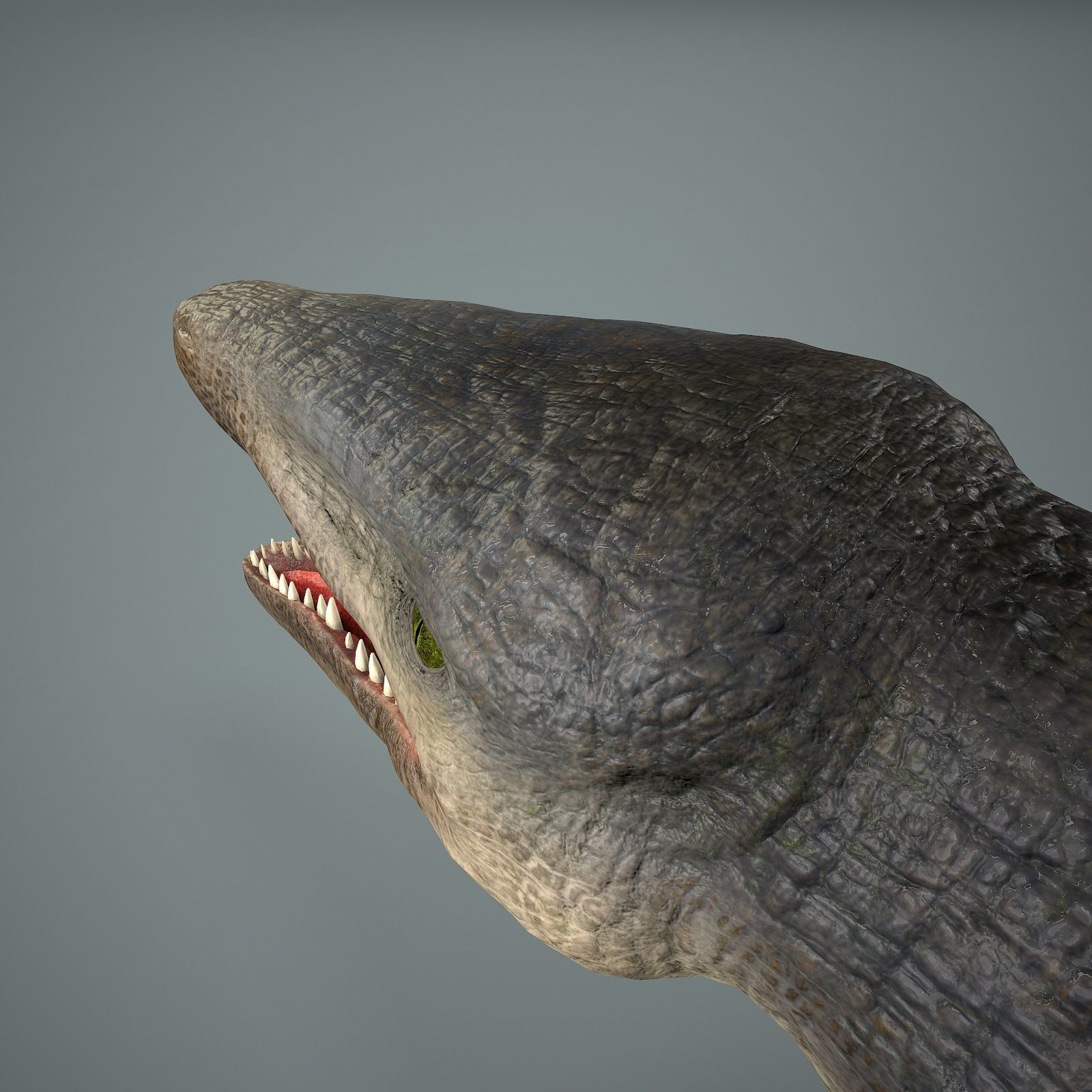 Mosasaurus Low-poly 3D model_14