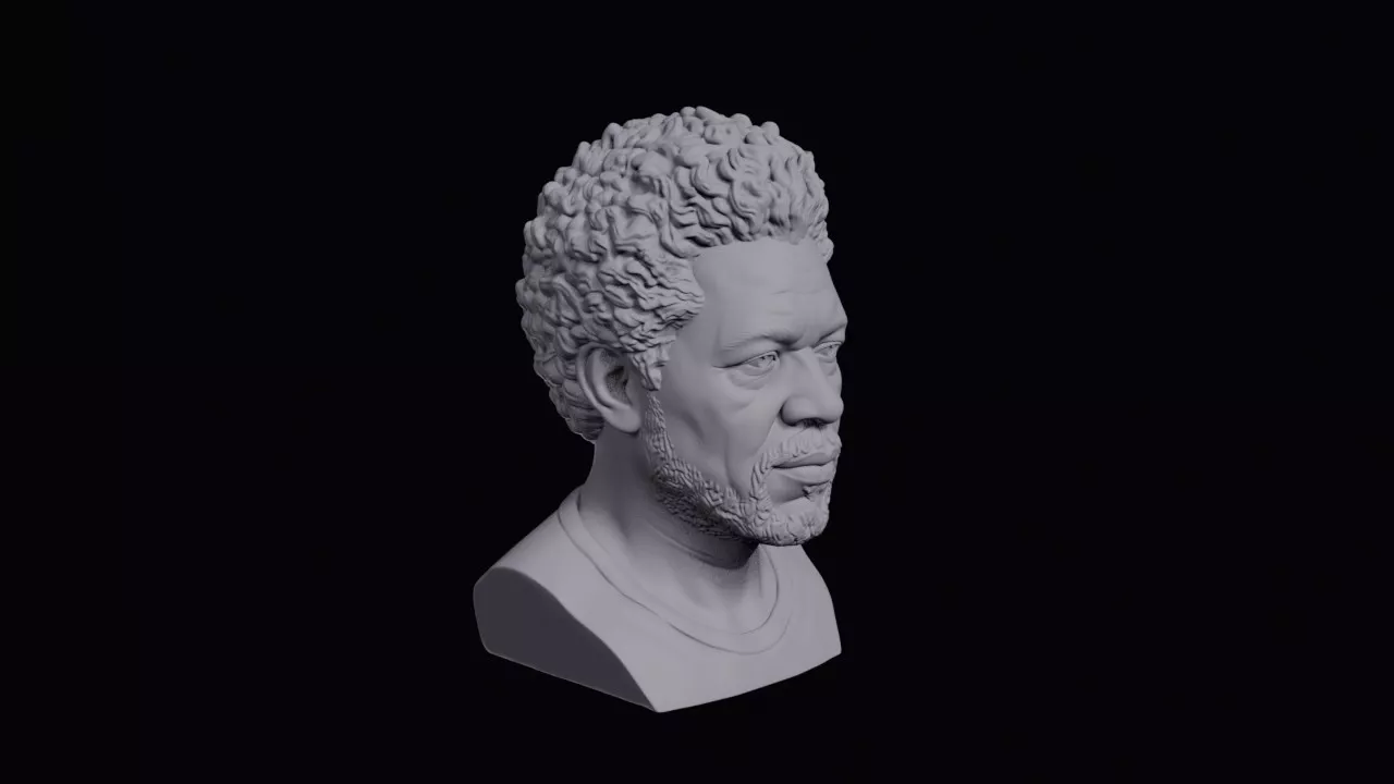 Head With Dense Wiry Hair Bust 3D print model
