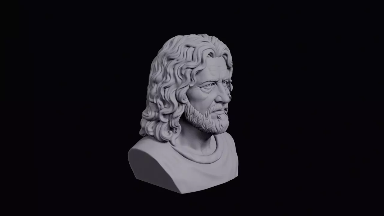 Head With Unruly Mane Hair Bust 3D print model
