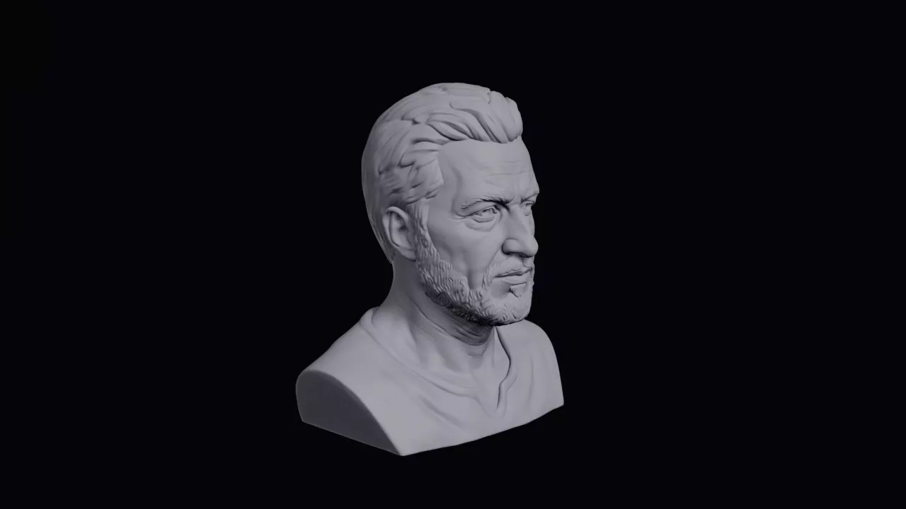 Face With Smooth Rounded Jaw Bust 3D print model
