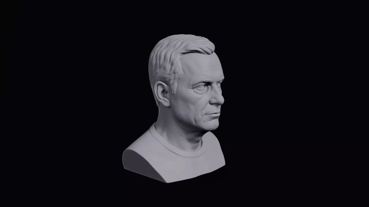 Face With Small Mouth Lip Bust 3D print model