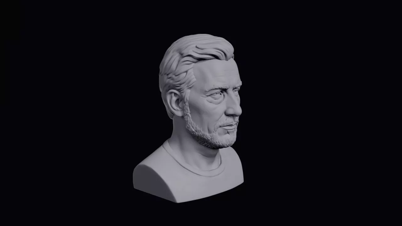 Face With Long Philtrum Bust 3D print model