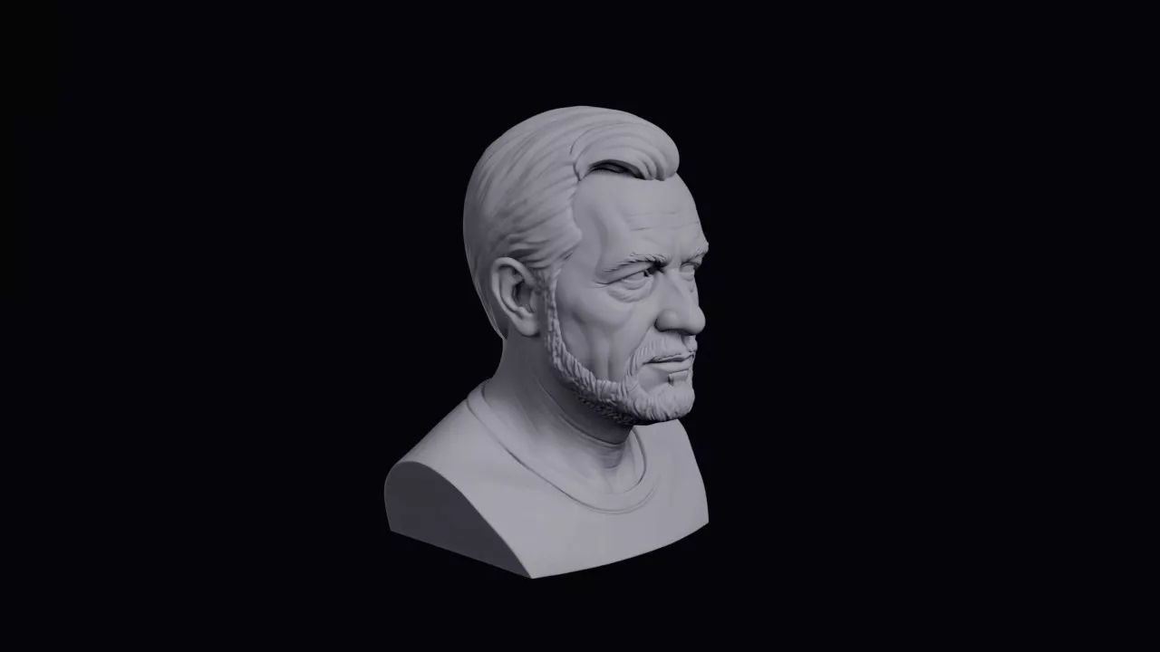 Face With Protruding Chin Bust 3D print model