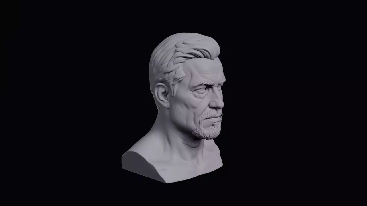 Face With Sharp Developed Jaw Bust 3D print model