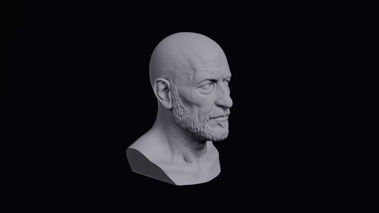 Elderly Ossetian Man With Square Jaw Bust 3D print model