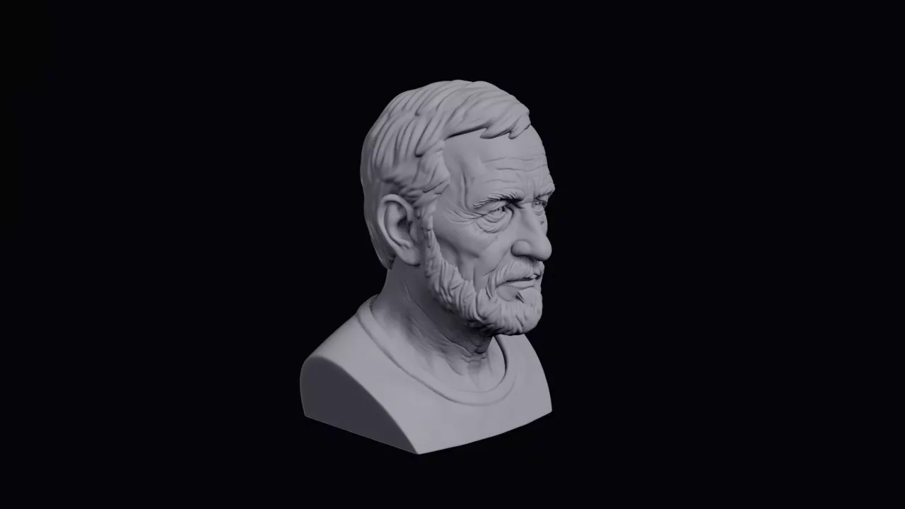 Beekeeper With Fine Wrinkles Bust 3D print model