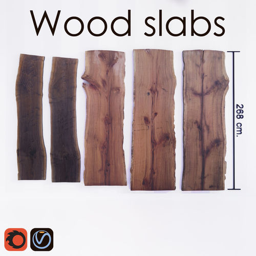 Wood Slab Table 3D model
